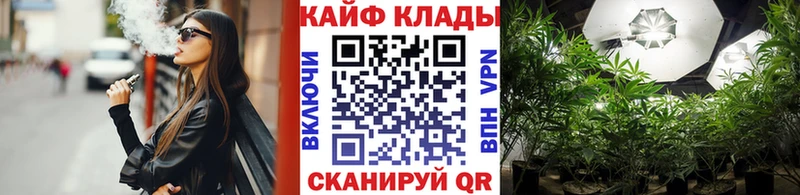 Наркота Дорогобуж МАРИХУАНА  Псилоцибиновые грибы  Codein  Гашиш  МЕФ  АМФЕТАМИН 
