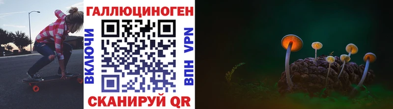 Галлюциногенные грибы GOLDEN TEACHER  МЕГА вход  Дорогобуж 